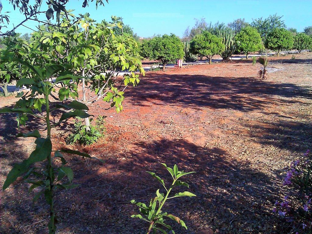 Quinta Casalinho Villa Albufeira Exteriör bild