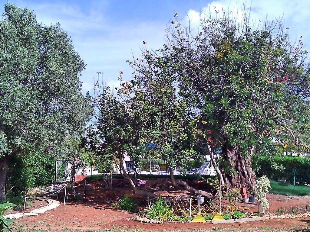 Quinta Casalinho Villa Albufeira Exteriör bild